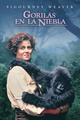 Key Art: Gorilas en la niebla