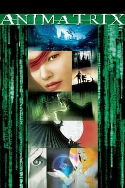 Key art The Animatrix