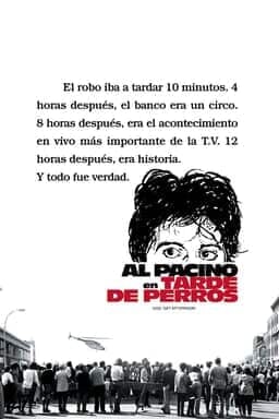 Key art Tarde de perros