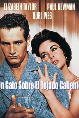 Keyart Un Gato Sobre el Tejado Caliente