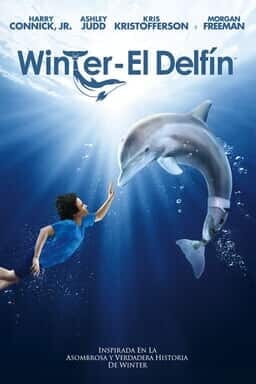 Key art Winter El Delfín